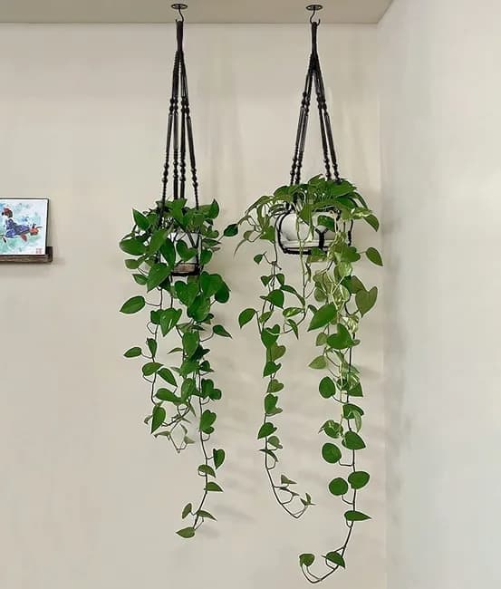 3 pcs Bohemian Plant Hanger for Indoor Plants with Braided Rope Beads and Lace Decoration, 35 Inch, Black